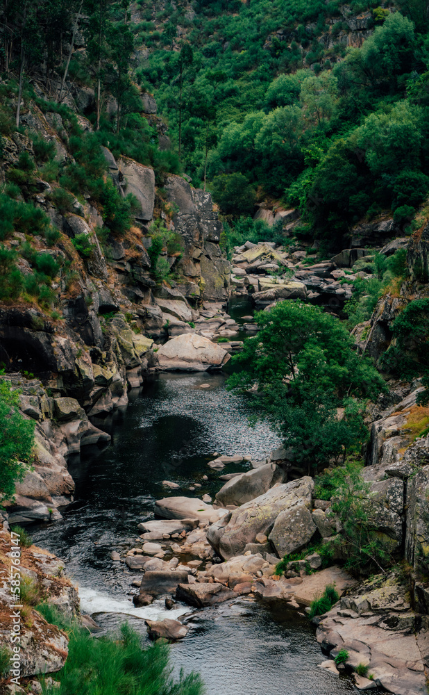 mountain scenery with a river and lush trees. landscape photography concept mountain scenery with a river and lush trees. landscape photography concept