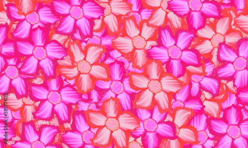tropical pink desert flower pattern spring nature wallpaper background
