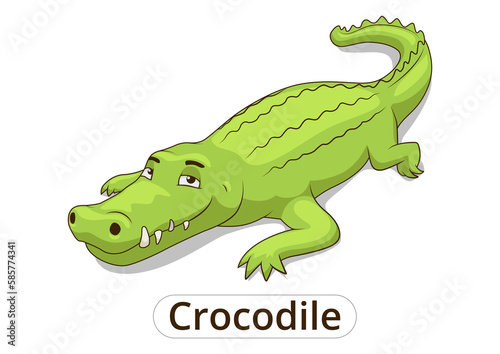 Crocodile african savannah animal cartoon PNG illustration with transparent background