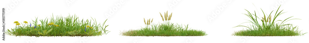 collection green grass PNG transparent , 3d illustration rendering collection green grass PNG transparent , 3d illustration rendering