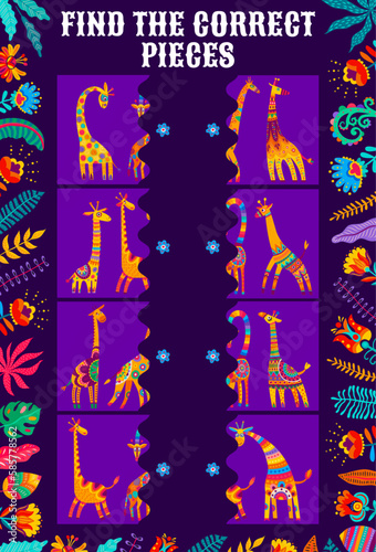 Find the correct pieces of african giraffes kids game worksheet. Vector match the half of cartoon animals puzzle with funny giraffe separated parts in alebrije style. Kids development quiz riddle