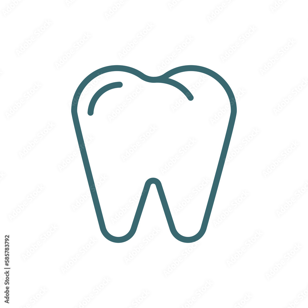premolar icon. Thin line premolar icon from medical collection. Outline vector isolated on white background. Editable premolar symbol can be used web and mobile