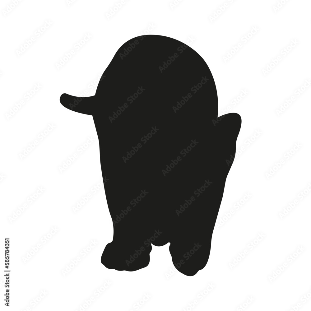Cat silhouette illustration, cat looks down Cat silhouette illustration, cat looks down