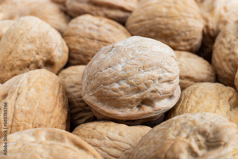 Bunch of walnuts. Close-up picture of many dried fruits. Bunch of walnuts. Close-up picture of many dried fruits.