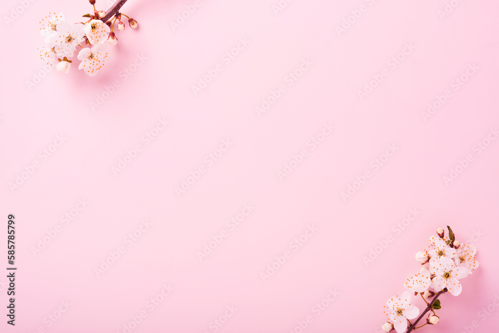 Spring Cherry Blossom. Abstract background of macro cherry blossom tree branch on pink background. Happy Passover background. Spring womens day concept. Easter, Birthday, womens or mothers holiday.