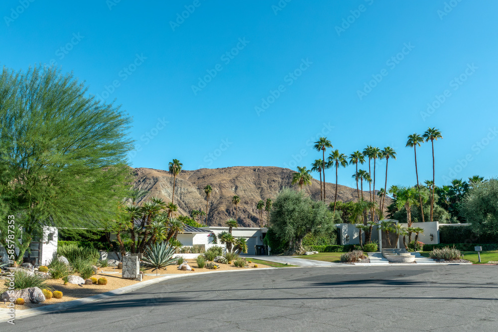 Modern mid-century houses architecture and palm trees in Palm Springs, California - obrazy, fototapety, plakaty 