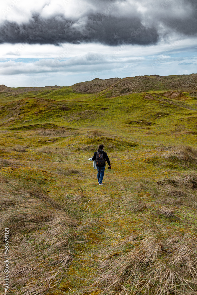 Obraz premium Dunes de Biville in France Normandy