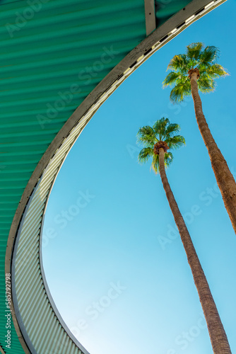 Palm Springs City Hall, palm trees and modernist architecture, California