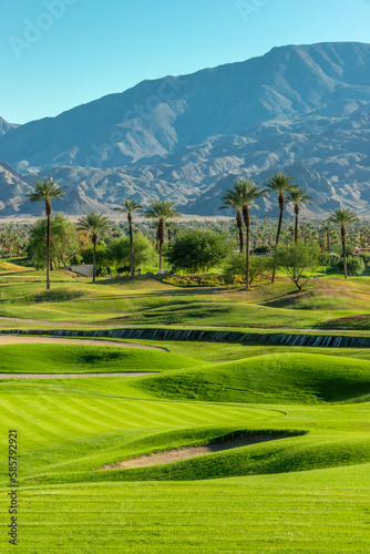 Obraz na płótnie Green lawn and palm trees on a golf course in Palm Springs, California w salonie