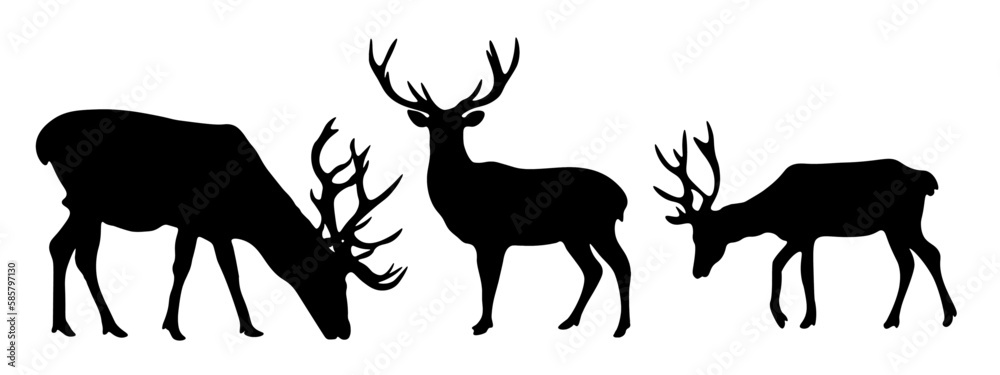 Forest wildlife hunting adventure nature animal vector symbol icon illustration set collection for logo - Black silhouette of wild deer / stag / hart animals, isolated on white background. Forest wildlife hunting adventure nature animal vector symbol icon illustration set collection for logo - Black silhouette of wild deer / stag / hart animals, isolated on white background.