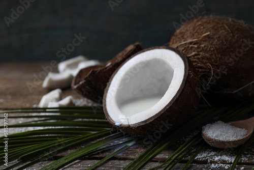 Coconut milk, flakes, nuts and palm leaf on wooden table, closeup. Space for text