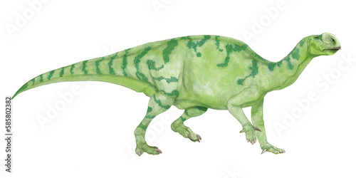 恐竜 ムッタブラサウルス。白亜紀前期にオーストラリアに棲息した大型鳥脚類恐竜の想像図。 