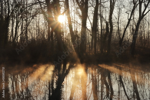 sunrise between trees over a fuggy river © Solene