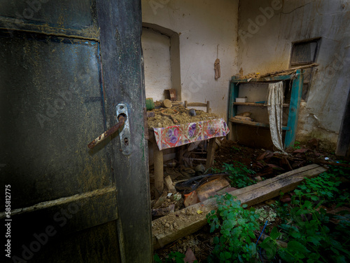 Abandoned and dilapidated house taken over by nature.