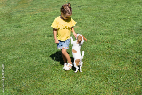 Little girl playing with her pet dog Jack Russell Terrier in park.