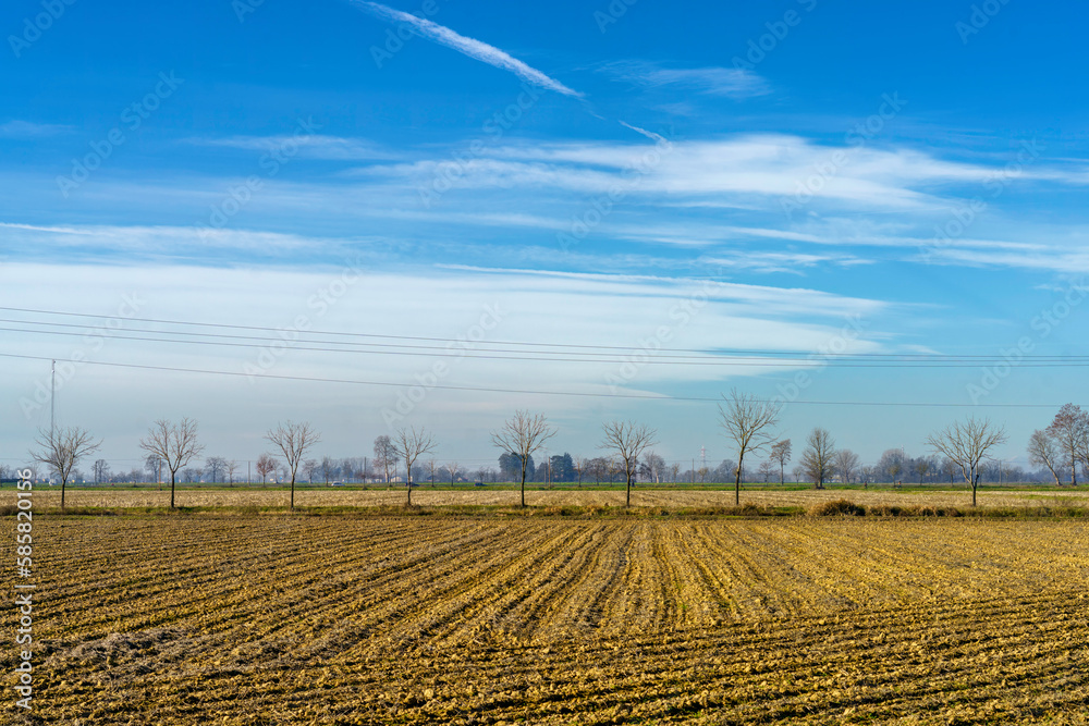Rural landscape at winter in Pavia province