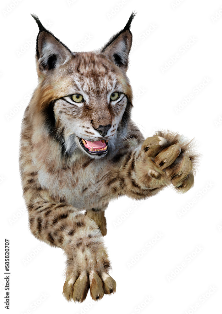 3D Rendering Lynx on White