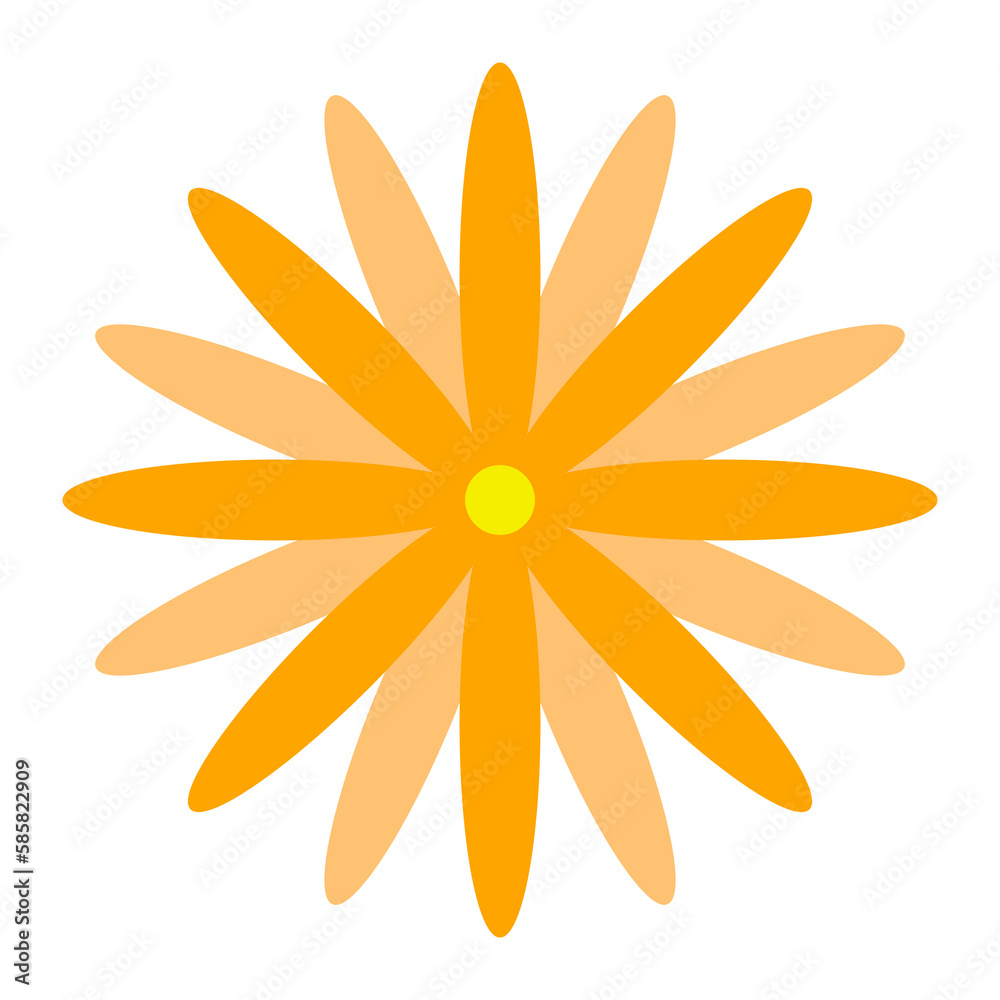 Orange flowers with many petals. Orange flowers with many petals.