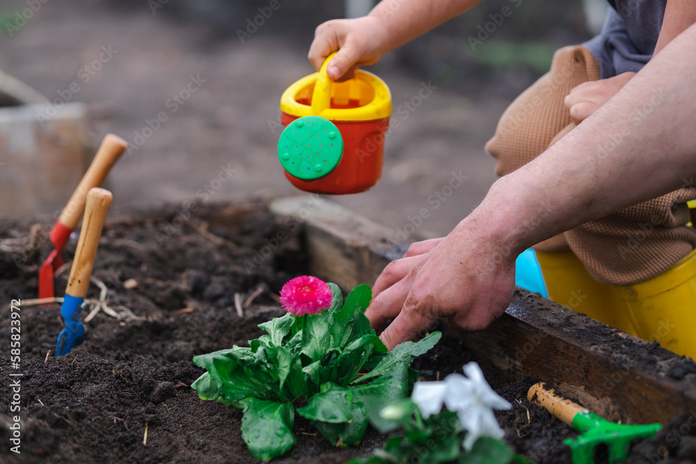 Gardening activities for kids. Cute little boy toddler watering plants