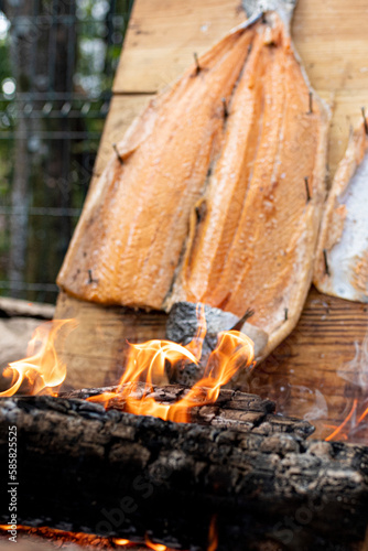 Salmão pranchado prgado na taboa sendo assado no fogo de chão photo