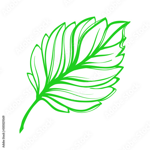 green leaf art vector design