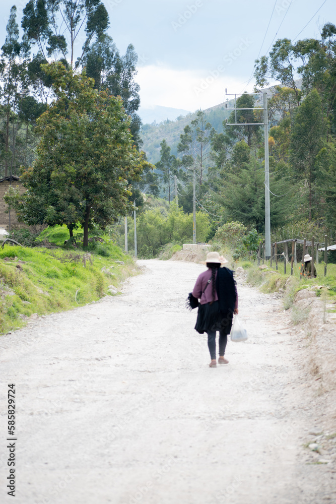 Obraz premium mountain path