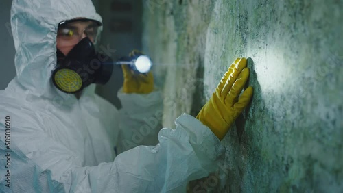 mold exterminator disinfection search for a black mold fungus focus