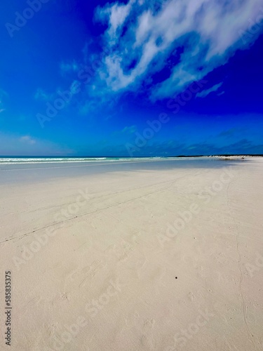 beach with sky