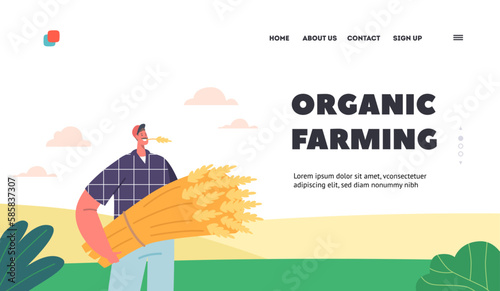 Organic Farming Landing Page Template. Farmer Male Character Standing on Field Holding Freshly Harvested Wheat In Hands