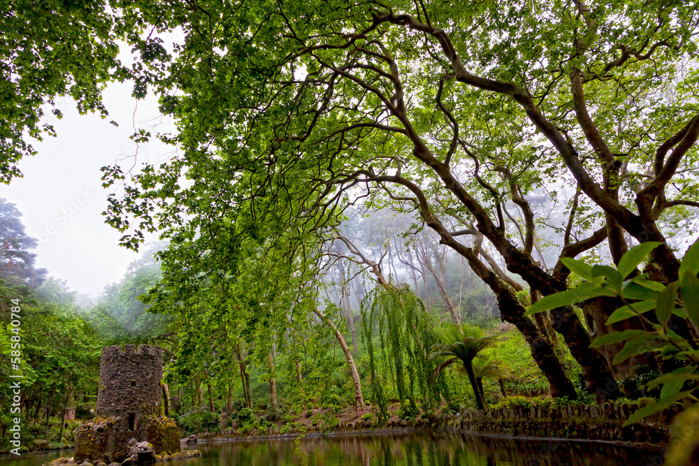 Small lake in the Park of Palacio Nacional de Pena in Sintra, Portugal