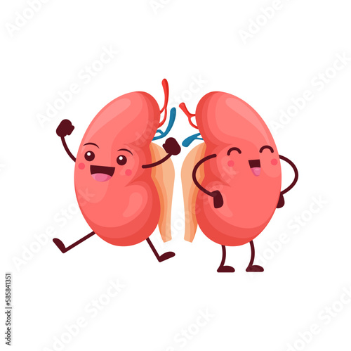 Cartoon kidneys body organs characters. Vector human reins anatomical positive personage with cute smiling face. Funny medical education of urinary system, anatomy science for kids, renal health care