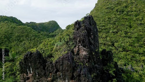 Aerial Footage. Raising parallax over rocky cliffs and jungle in the background photo