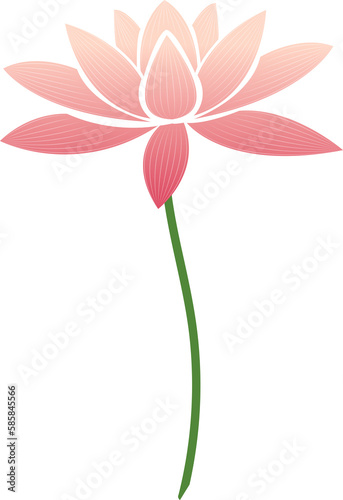 Chinese traditional paper cutting relief of pink elegant lotus flower
