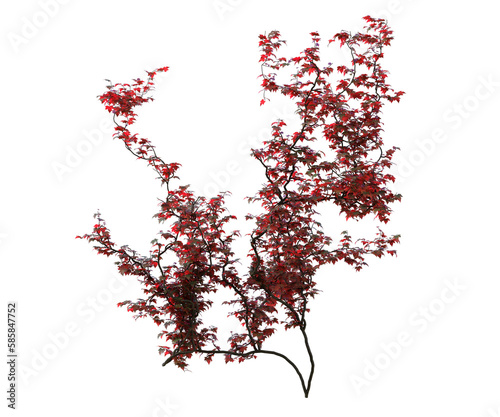 Albero con e senza foglie bianche, arancioni, verdi, gialle, rosse fondo trasparente e isolato