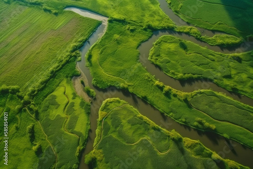 top view of cultivated agricultural farming land with vivid green color with river passing by. generative ai 