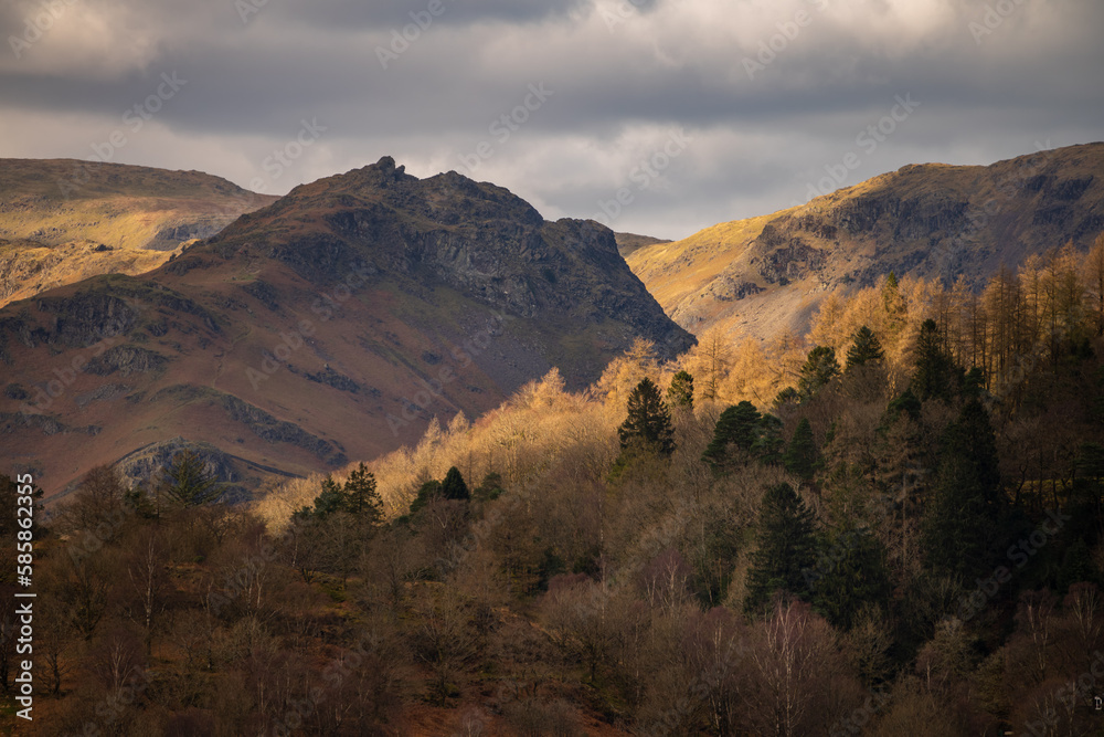 Golden sunlight with view of Helm Crag on a cloudy Spring afternoon in The Lake District National Park, UK.
