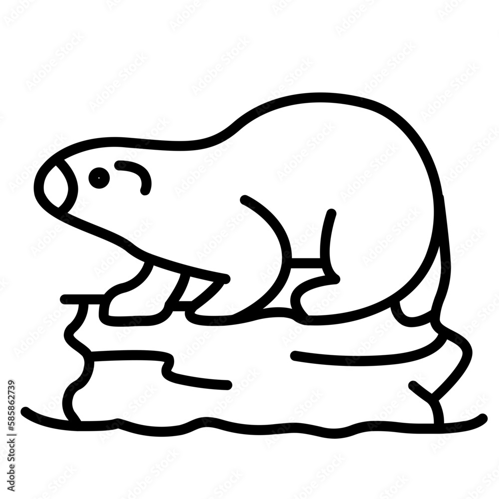 animals animals
