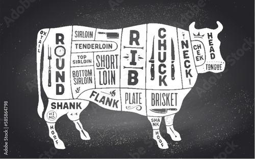 Cow, beef. Scheme, diagram, chart beef, butcher guide. Vintage retro print, art typography. Black-white chalk graphic design on chalkboard. Poster cow for Butchery meat shop. Vector Illustration