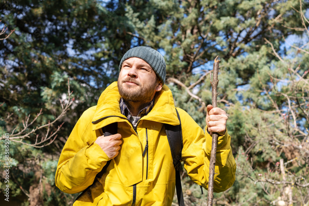 Exploring nature, hiking through forest.