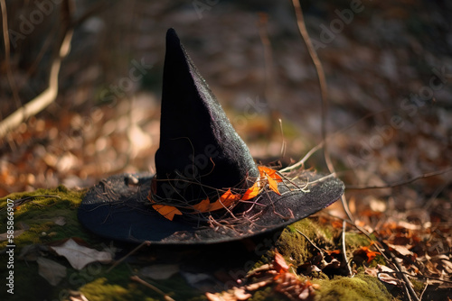 Witch hat in the wood. Halloween holiday concept. 