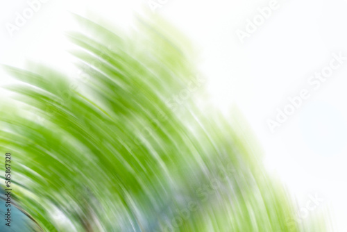 Abstract green background with dynamic shapes composition with copy space - stock illustration