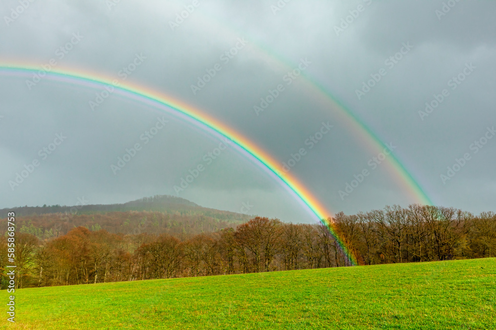 Naklejka premium Frühlingsspaziergang durch die wunderschöne Vorderrhön zwischen Bernshausen & Urnshausen - Thüringen - Deutschland