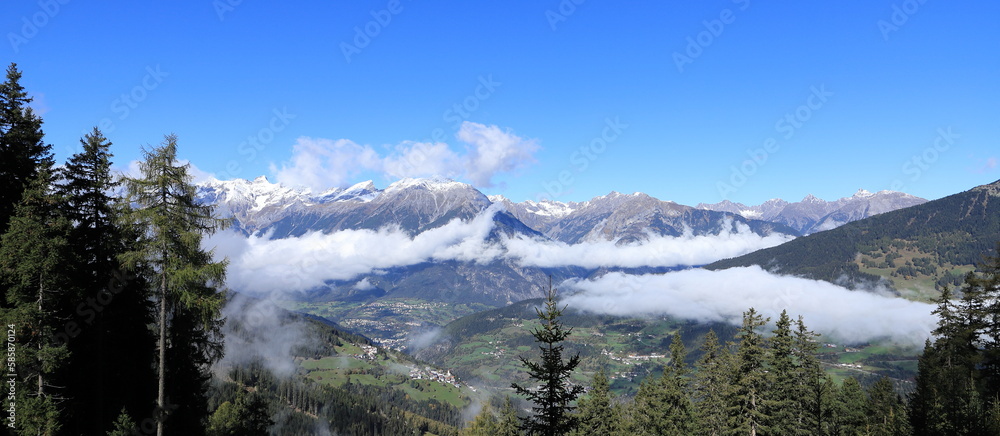 a fir forest and snow-capped Alps in the background	
