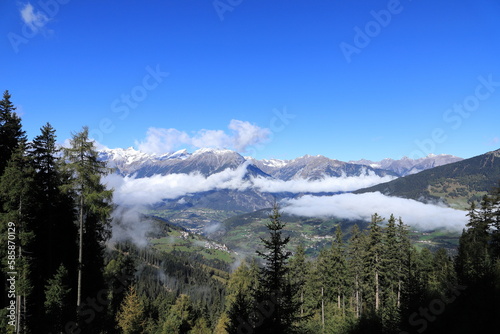 a fir forest and snow-capped Alps in the background   © maho