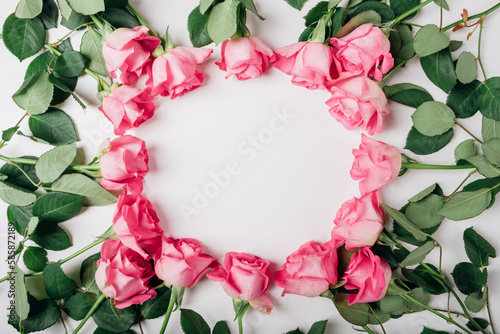 Frame of fresh pink roses in full bloom on white background. Bunch of flowers with negative space for text. Top view, flat lay. Birthday or Mother's day card.