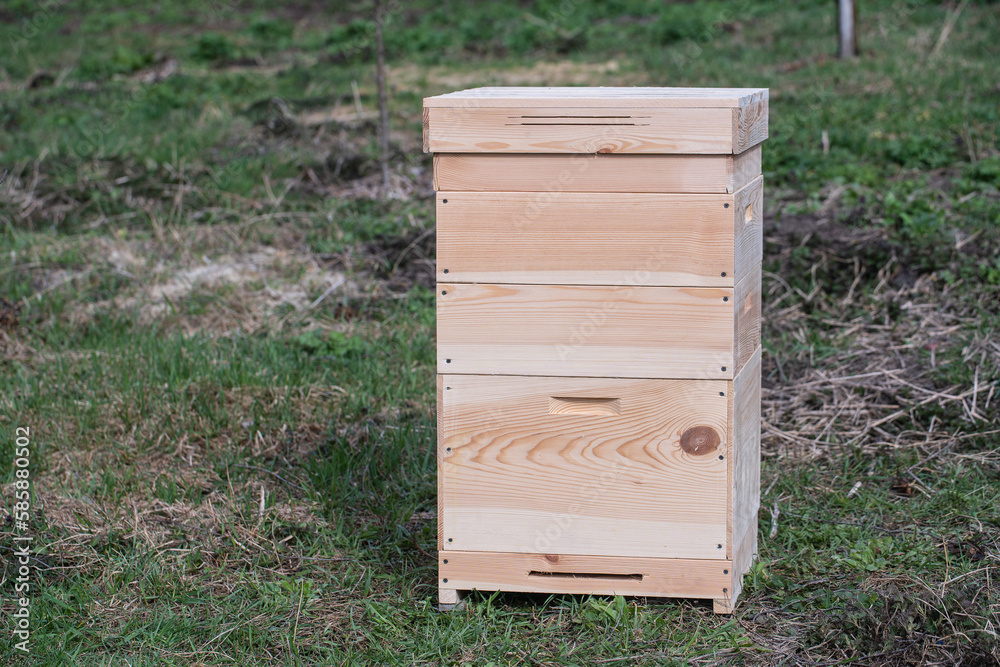 One new set of wooden beehive in the spring garden, closeup One new set of wooden beehive in the spring garden, closeup