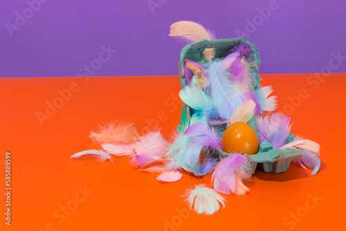 Container with egg and feathers in studio photo