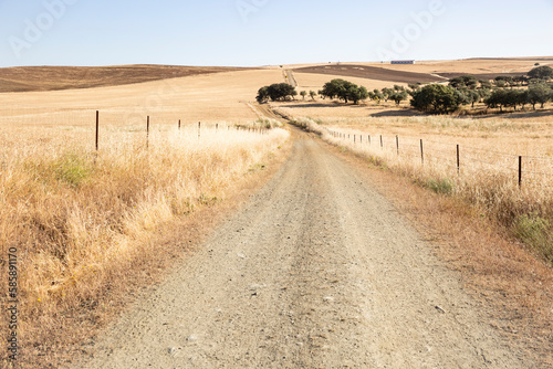 Foto Via de la Plata - a dirt road on a summer landscape halfway between Monesterio a