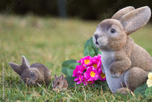 beautiful easter decoration with rabbits, colorful springflowers and a yellow necked mouse on the green lawn at a spring morning photo