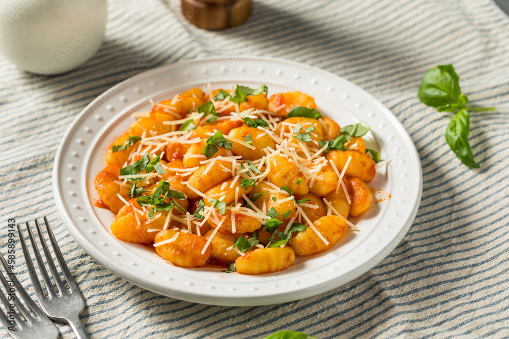 Homemade Italian Tomato Gnocchi Pasta Homemade Italian Tomato Gnocchi Pasta